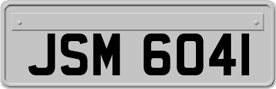 JSM6041