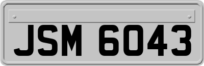 JSM6043