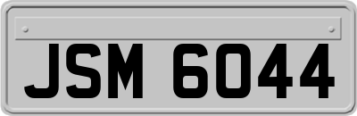 JSM6044