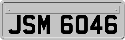 JSM6046