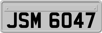 JSM6047