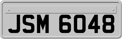 JSM6048