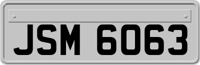 JSM6063