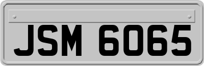 JSM6065