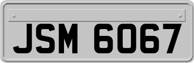 JSM6067