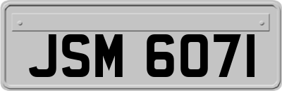 JSM6071