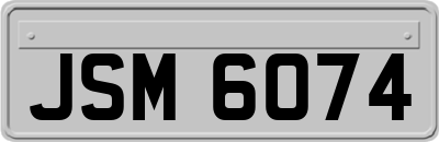 JSM6074