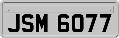 JSM6077