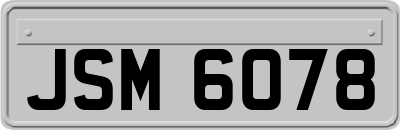 JSM6078