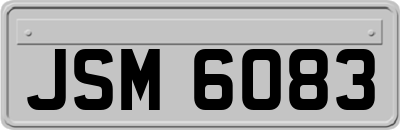 JSM6083