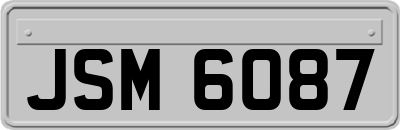 JSM6087