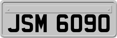 JSM6090