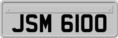JSM6100