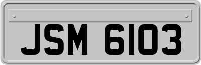 JSM6103