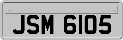 JSM6105