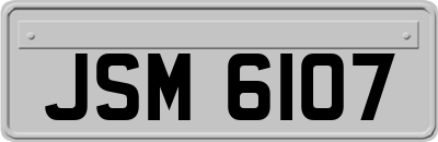 JSM6107