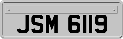 JSM6119