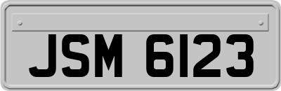 JSM6123