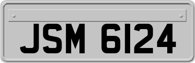 JSM6124