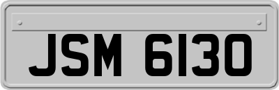 JSM6130