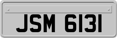 JSM6131