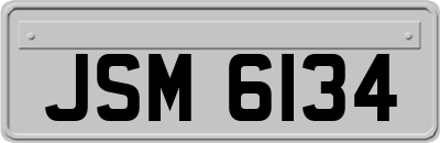JSM6134