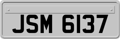 JSM6137