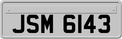 JSM6143