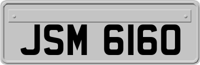 JSM6160