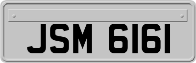JSM6161