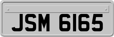 JSM6165