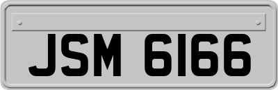 JSM6166
