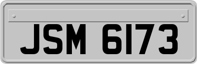 JSM6173