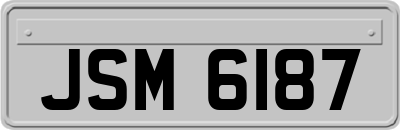 JSM6187