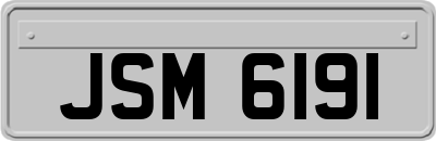 JSM6191