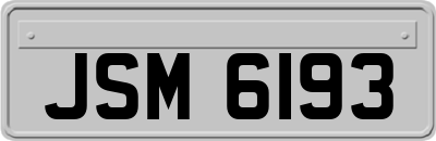 JSM6193