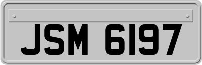 JSM6197