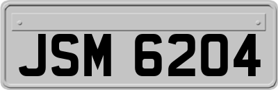 JSM6204