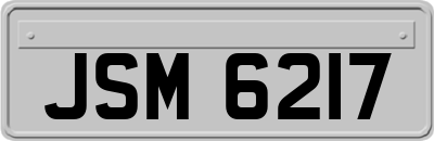 JSM6217