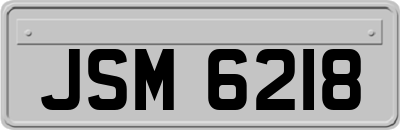 JSM6218
