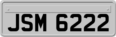 JSM6222