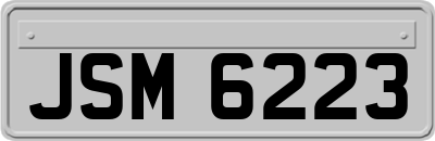 JSM6223