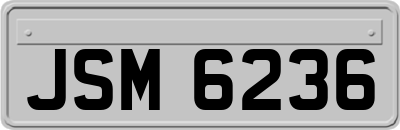 JSM6236