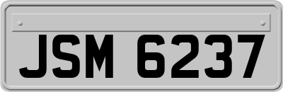 JSM6237