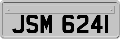 JSM6241