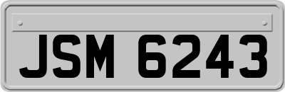 JSM6243