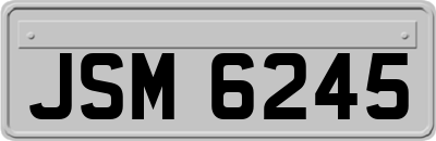 JSM6245