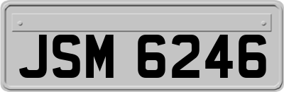 JSM6246