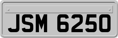 JSM6250