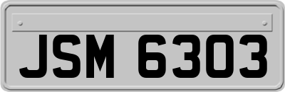JSM6303